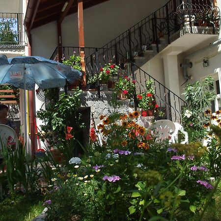 Vila Ana-Maria Синая Экстерьер фото