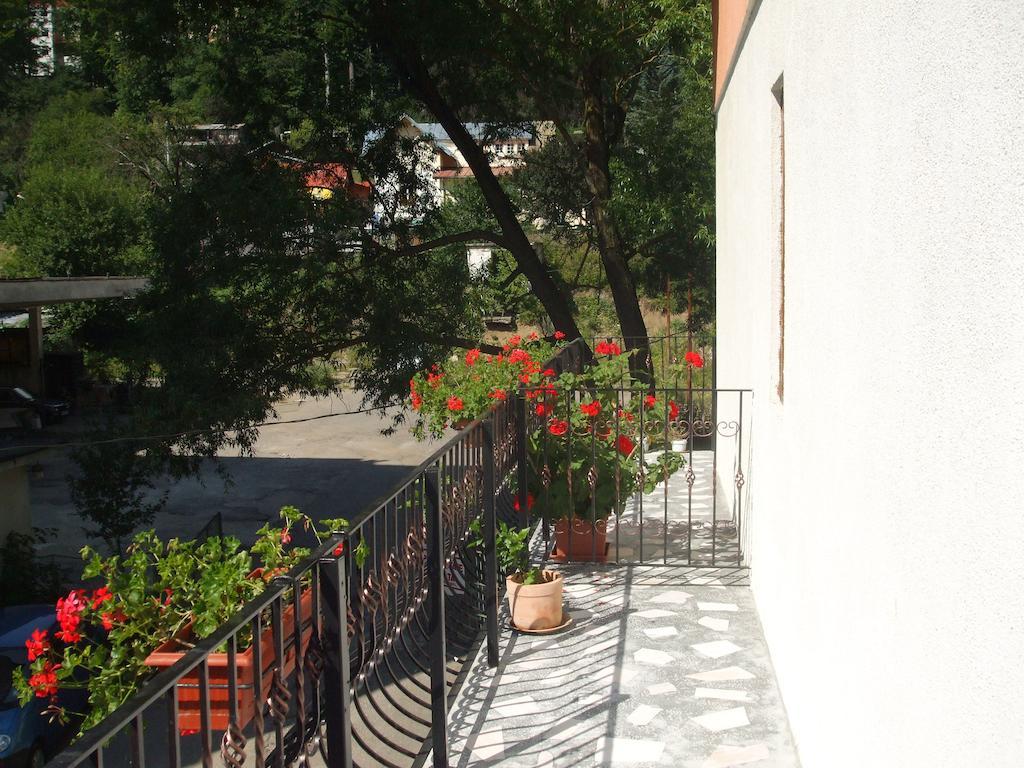 Vila Ana-Maria Синая Номер фото