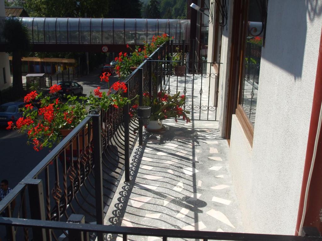 Vila Ana-Maria Синая Экстерьер фото